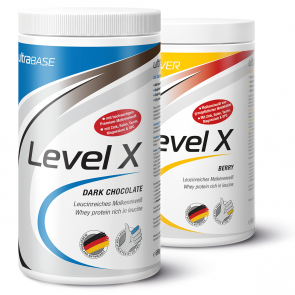 Level X