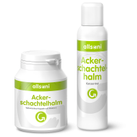 Ackerschachtelhalm